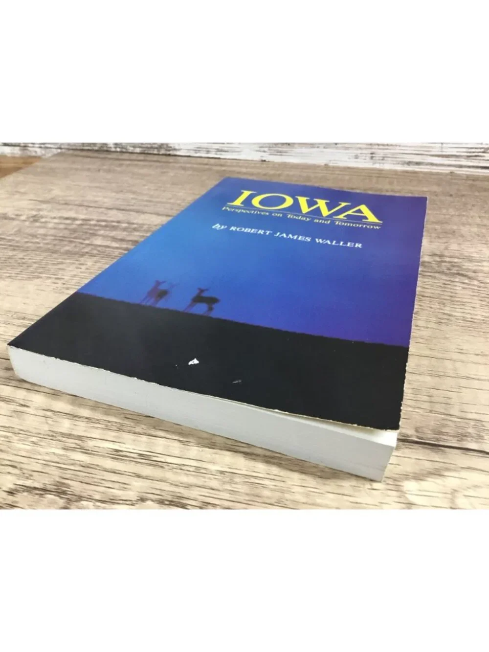 Iowa Perspectives On Today And Tomorrow By Robert James Waller Paperback 1991